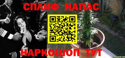 гидропоника Лесосибирск