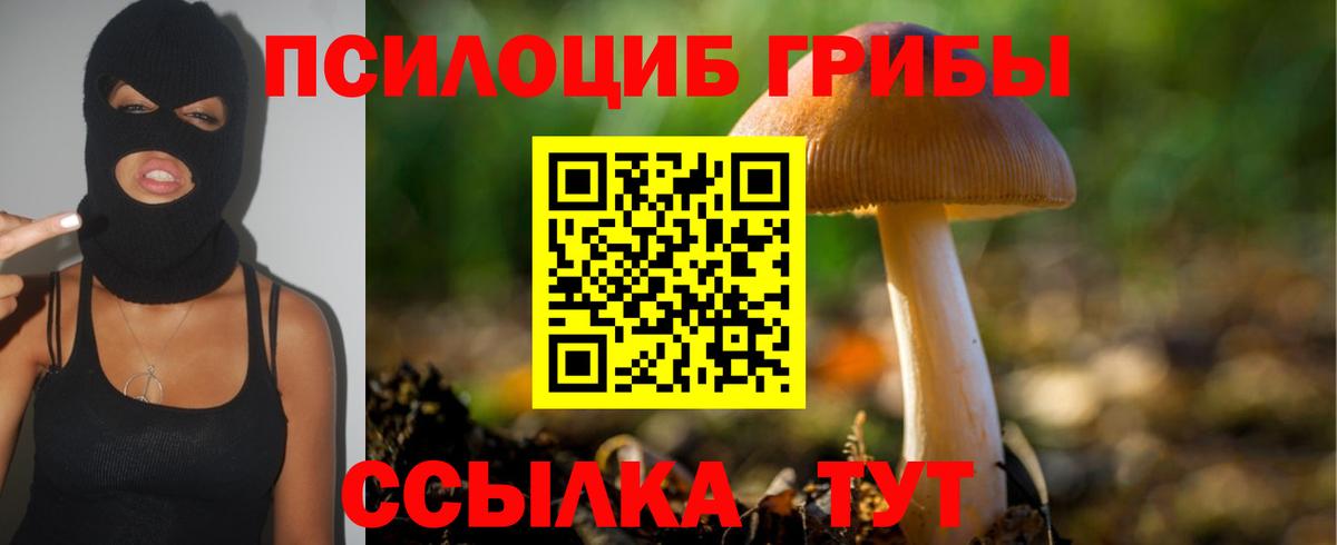 Галлюциногенные грибы прущие грибы Великий Устюг